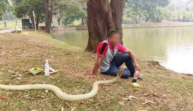 PAY-Man-marries-snake-he-believes-is-dead-girlfriend-reincarnated (4)