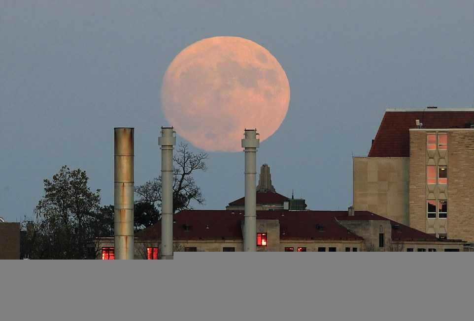 3A59760900000578-0-image-a-12_1479087145617