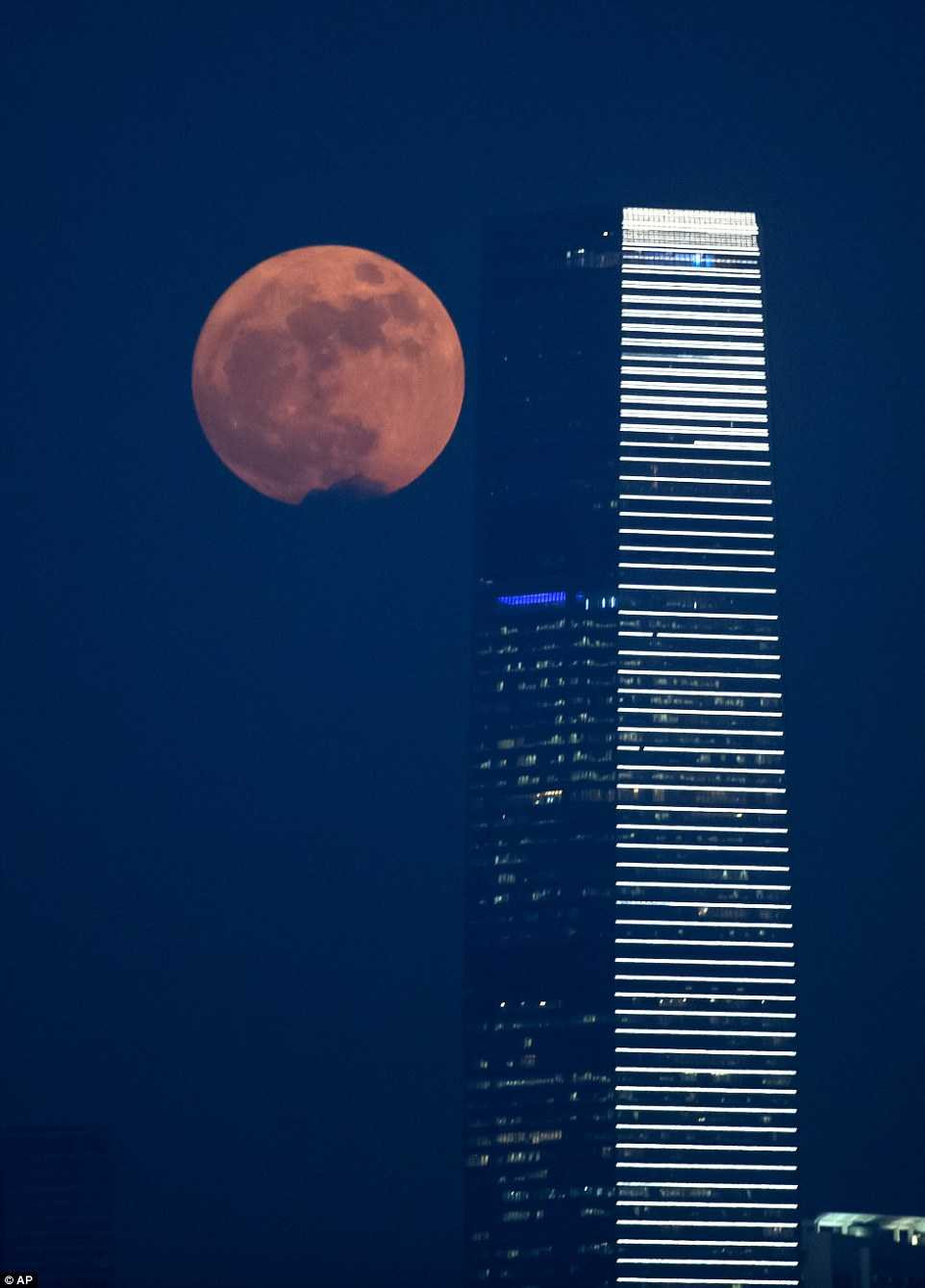 3A5DBB3600000578-3934686-image-a-52_1479154928514