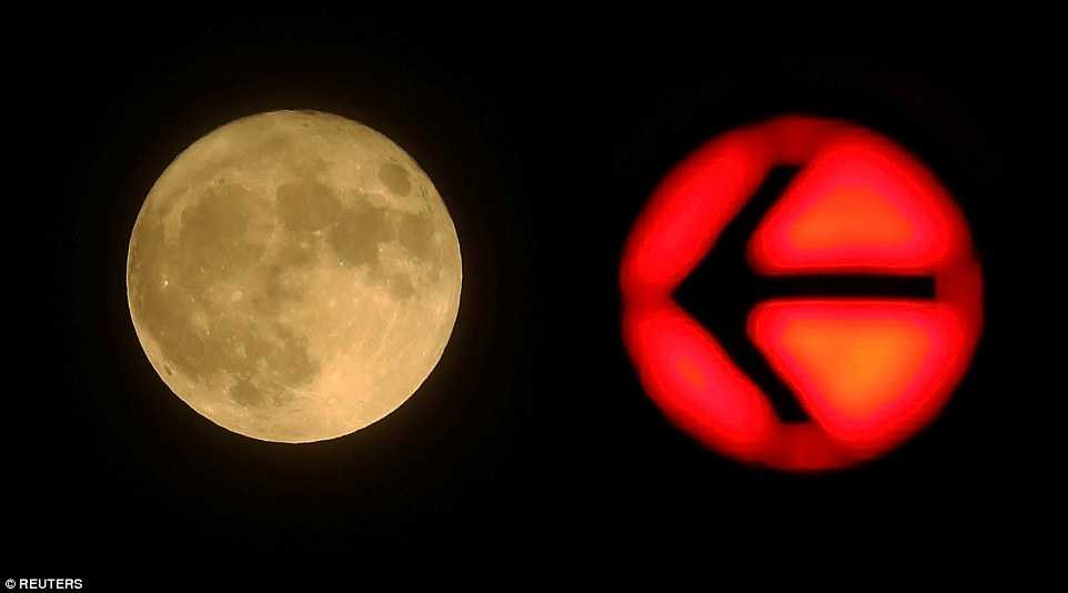 3A5FED5D00000578-3934686-image-a-101_1479160026482