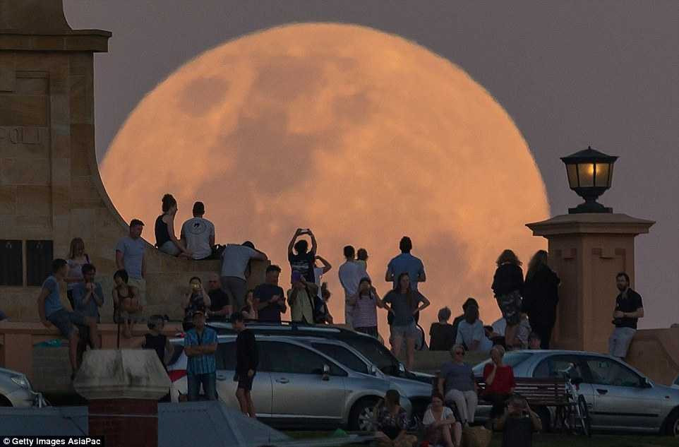 3A6041B500000578-3934686-image-a-74_1479155684367