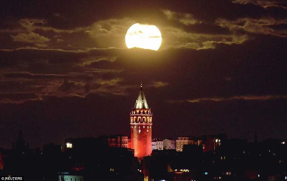 3A60463A00000578-3934686-image-a-104_1479160088640