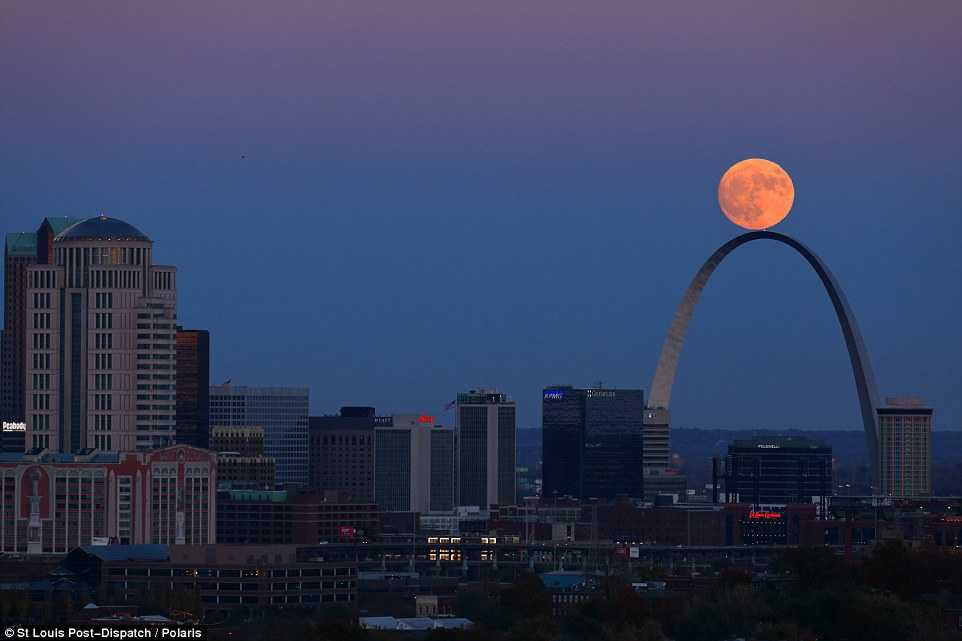 3A605CDC00000578-3934686-image-a-97_1479159669170