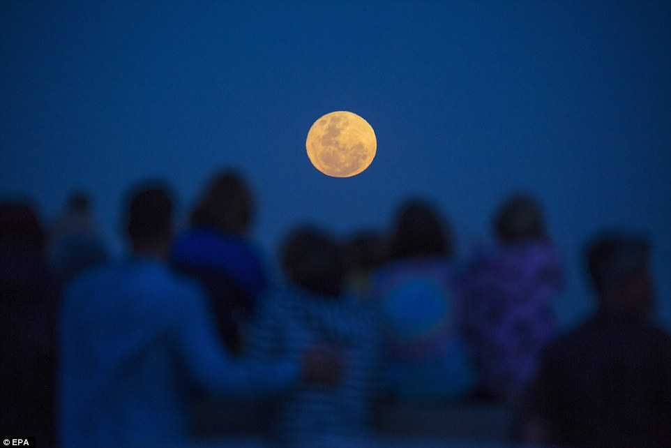 3A607B6100000578-3934686-image-a-100_1479159881680