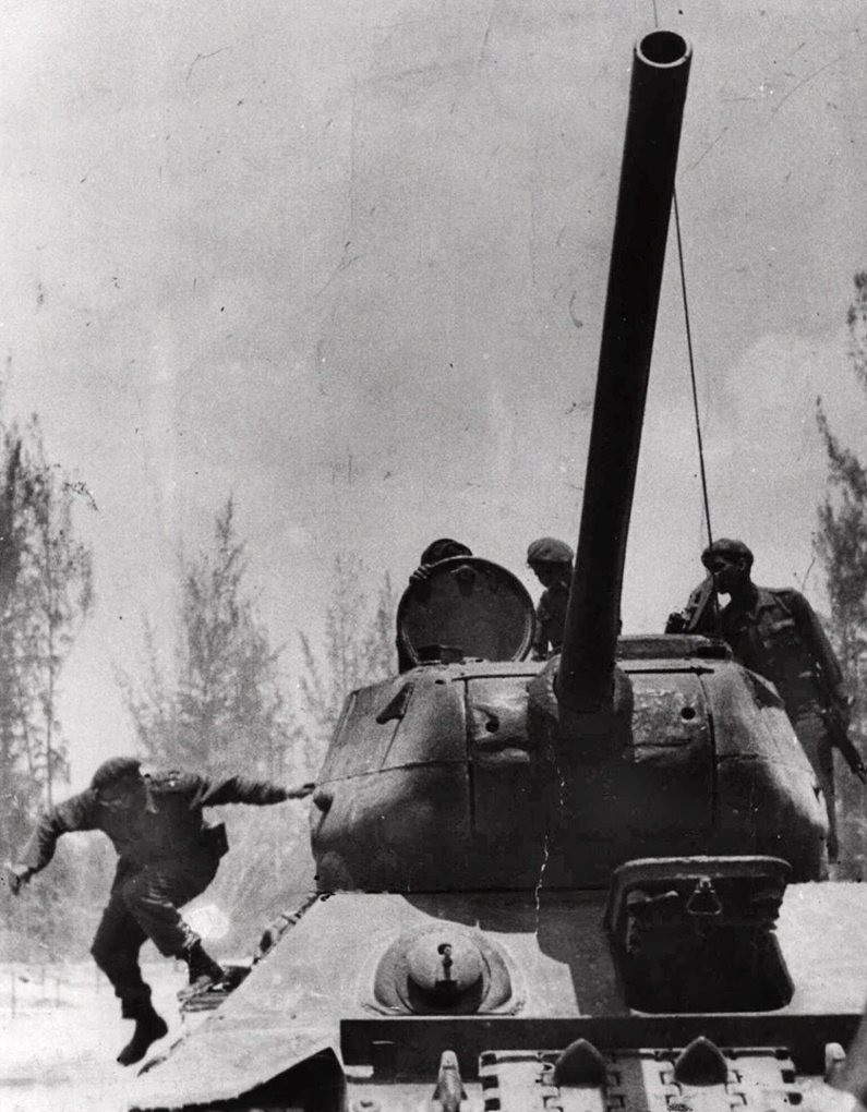 d23347f3-a52b-411c-a90b-29a61f98f0da-795x1020