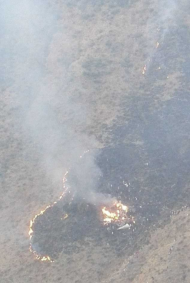 3B237FF600000578-4009228-image-m-50_1481115212837