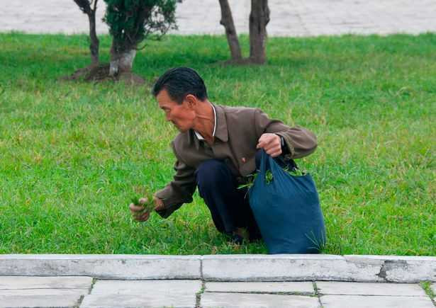 PAY-NORTH-KOREAThe-pictures-Kim-Jong-Un-doesnt-want-you-to-see (3)