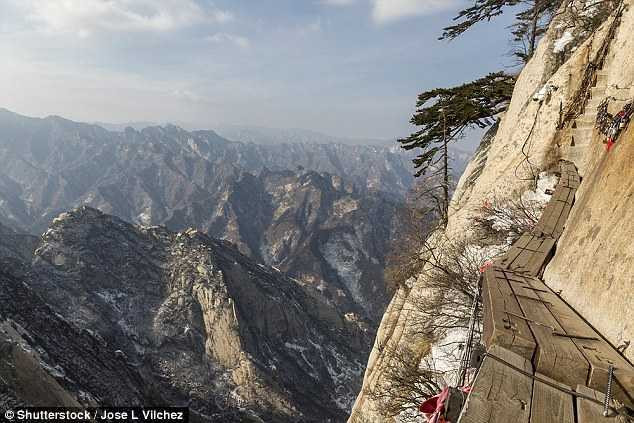 3B8A54DB00000578-4051696-image-a-12_1482243683376