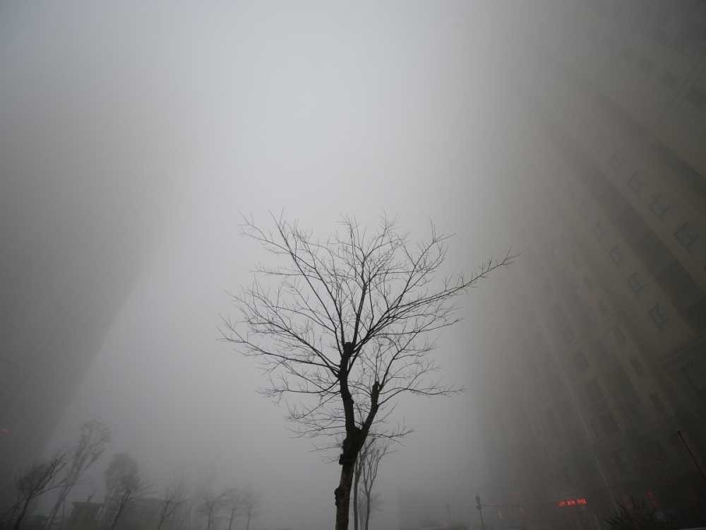 the-biggest-factor-causing-chinas-toxic-smog-the-burning-of-coal-as-families-consume-coal-for-heating-the-air-quality-deteriorates-every-winter