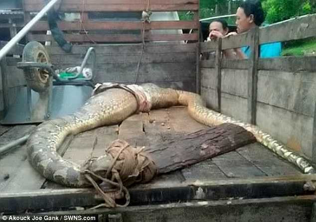 3C73934E00000578-4151408-image-a-63_1485255933609