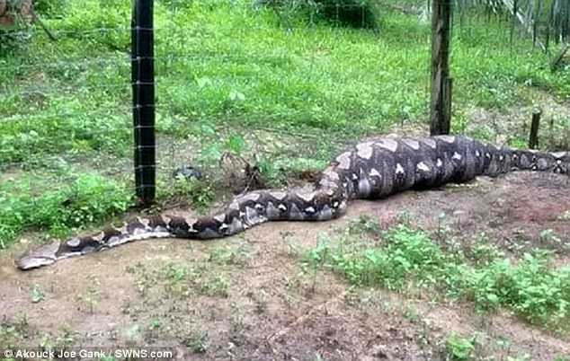 3C73940B00000578-4151408-image-a-46_1485255768023