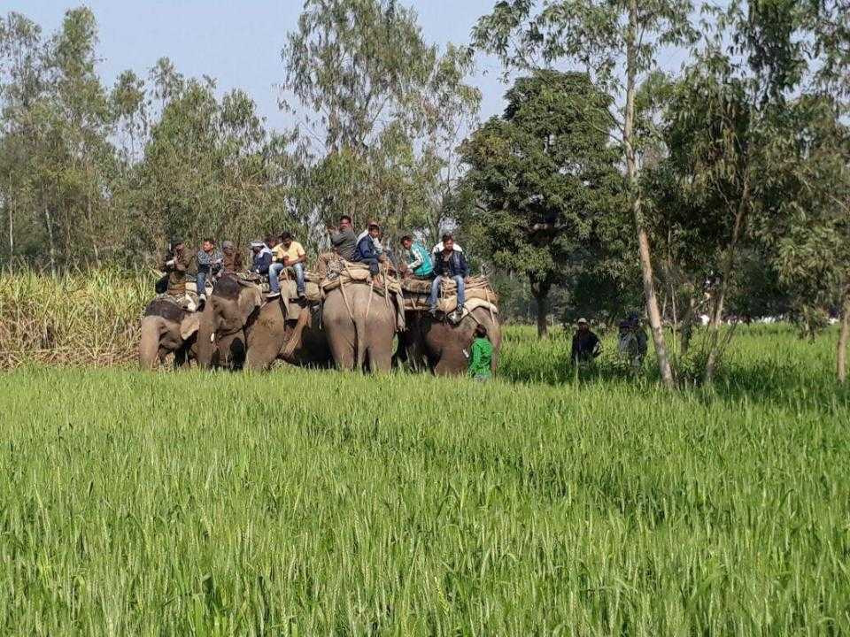 nintchdbpict000301184198