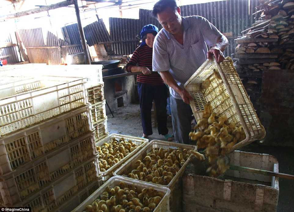 3D7BD42A00000578-4246492-image-a-14_1487778213442