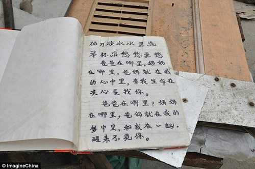 3d92369800000578_4252766_image_a_22_1487868087519_veyd