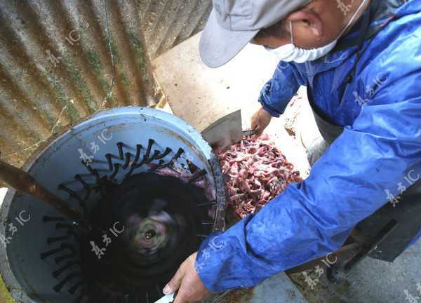 vit6-7318-1488085550