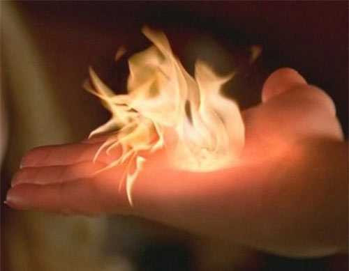 20161208082128-hau-due-vanga-5