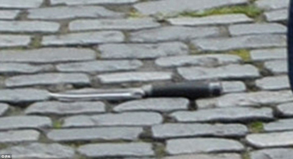 3E886E5A00000578-4338998-image-m-126_1490201193371