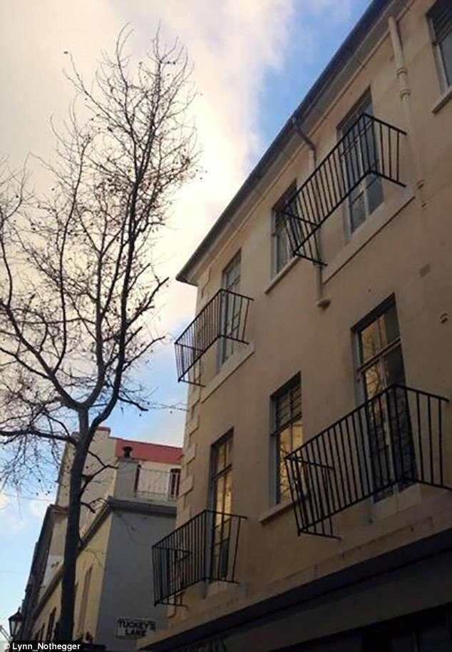 3EC7F87A00000578-4364890-image-a-115_1490887226416