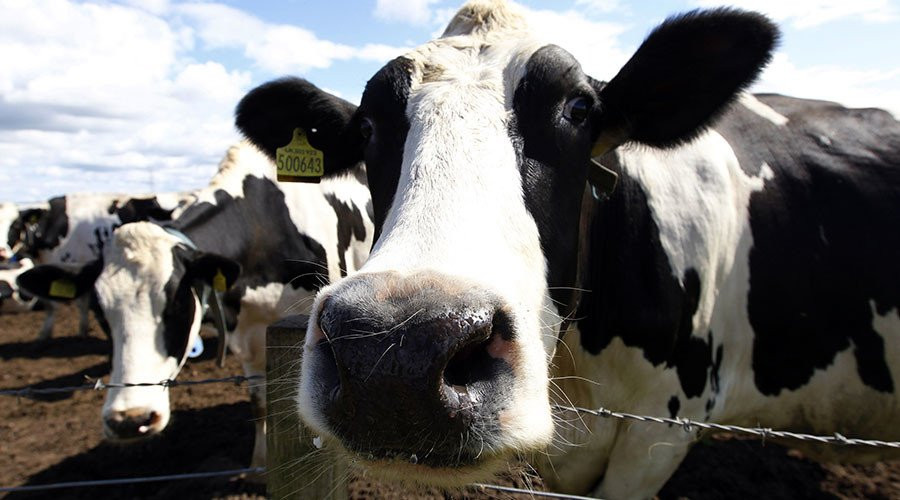 5971f9c3dda4c82d178b4569