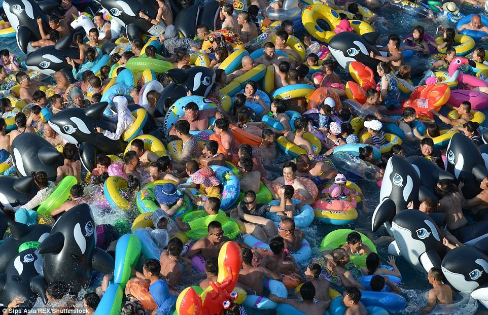 42D7C1A700000578-4746558-image-m-89_1501507668340