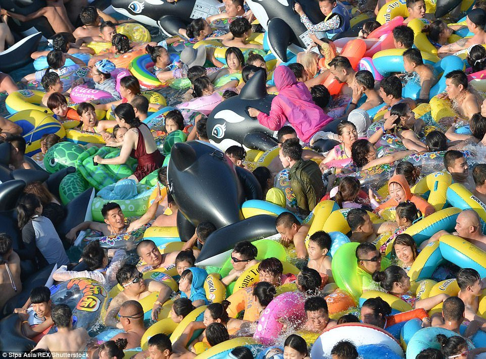 42D7C1EE00000578-4746558-image-m-83_1501507579306 4