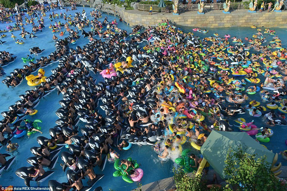 42D7C20A00000578-4746558-image-m-90_1501507838960 5