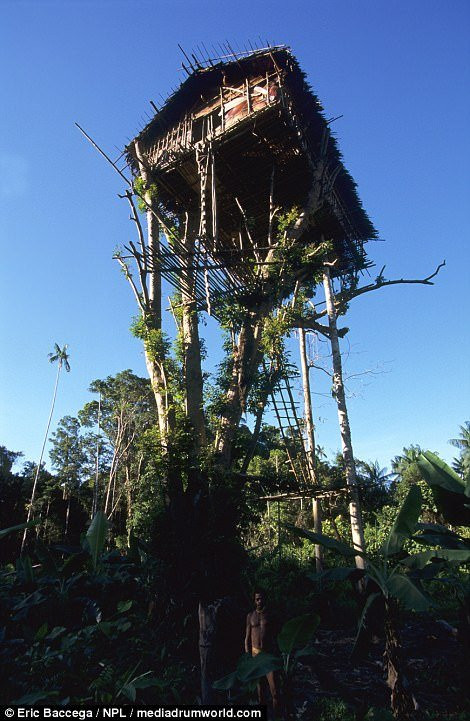 43513E2D00000578-0-image-a-23_1502965717750 13