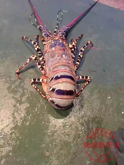 FOREIGN201708181340000465134719457 3