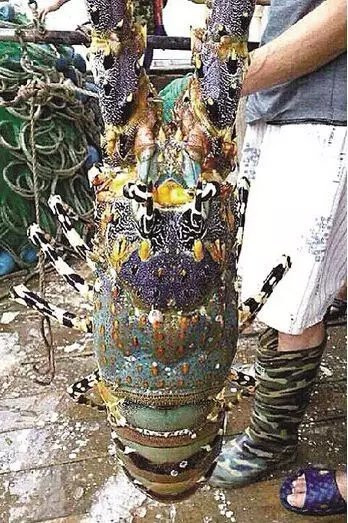 FOREIGN201708181340000578653448641 4