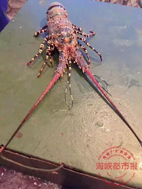 FOREIGN201708181341000162051631214 5