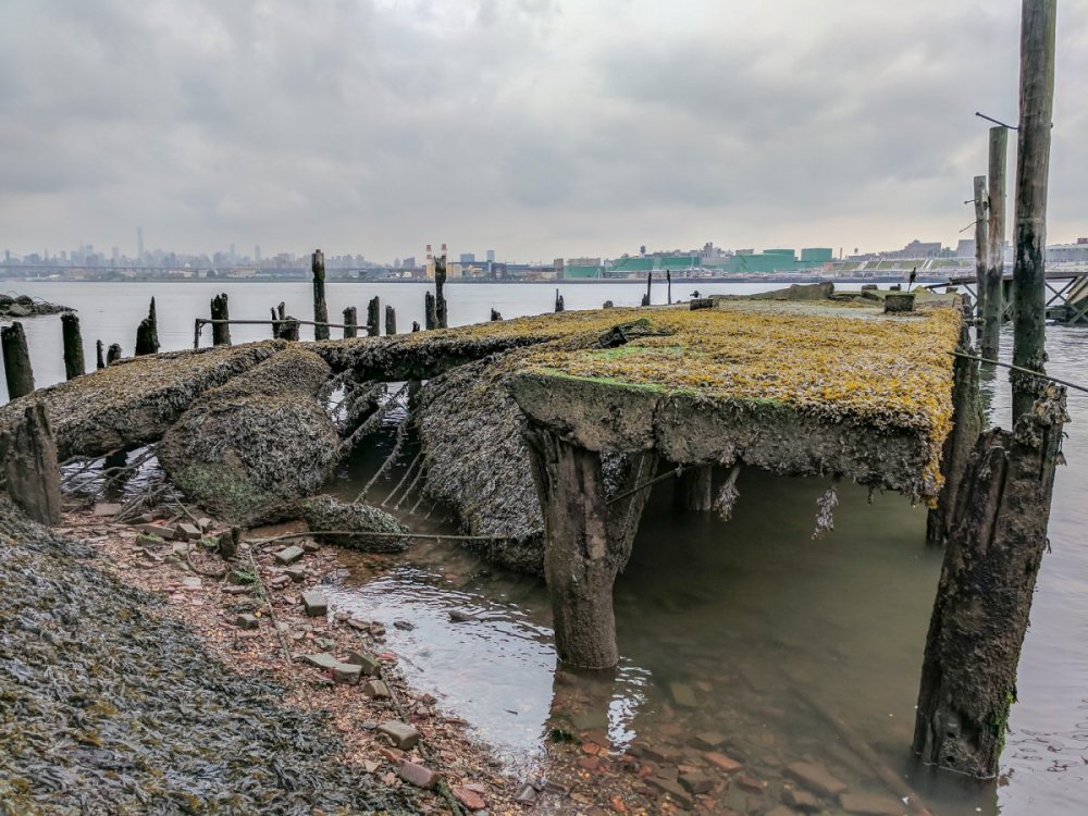 the-islands-buildings-used-to-be-powered-by-coal-which-workers-loaded-onto-this-dock-now-its-sinking-covered-in-kelp-and-totally-submerged-at-high-tide 7