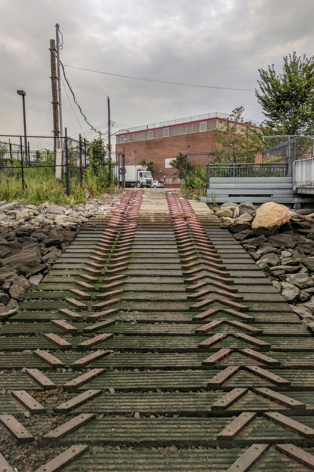 watch-your-step--the-boat-ramp-is-covered-in-slippery-algae-at-low-tide 10