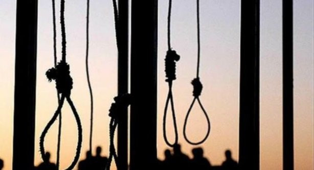 Thumbnails20402014114016treo_co