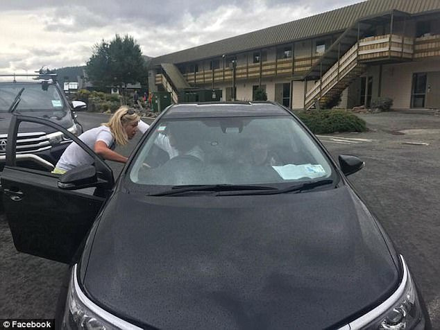 47973BCE00000578-5214231-image-a-12_1514348342187