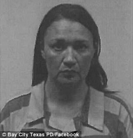 47964D8600000578-0-image-m-21_1514334524648