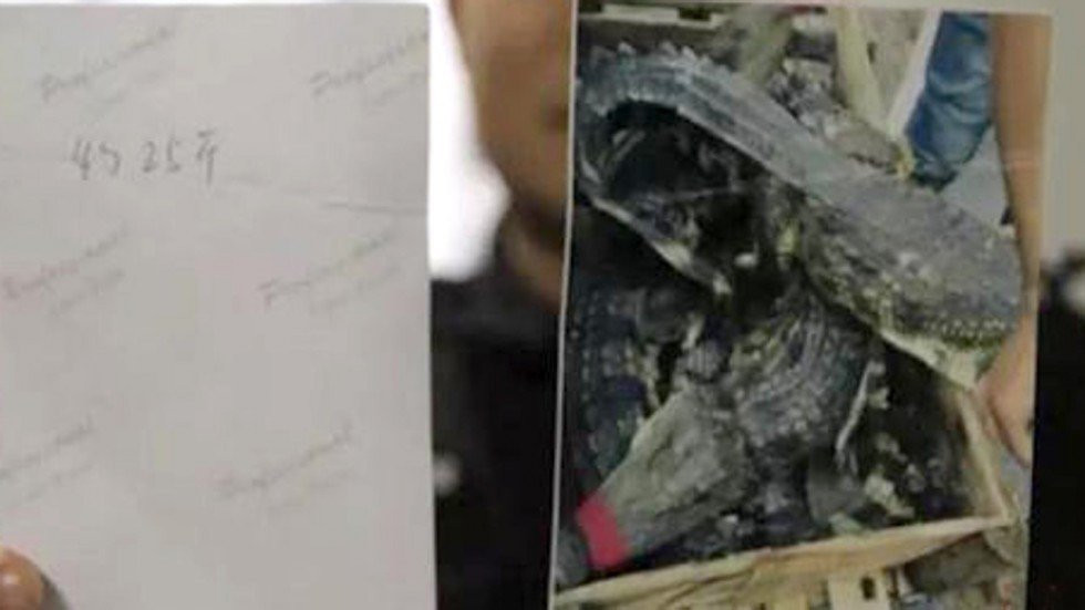 photo-1-1513237966435