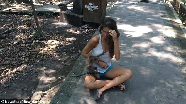 48910C2C00000578-5311025-image-a-15_1516875111614