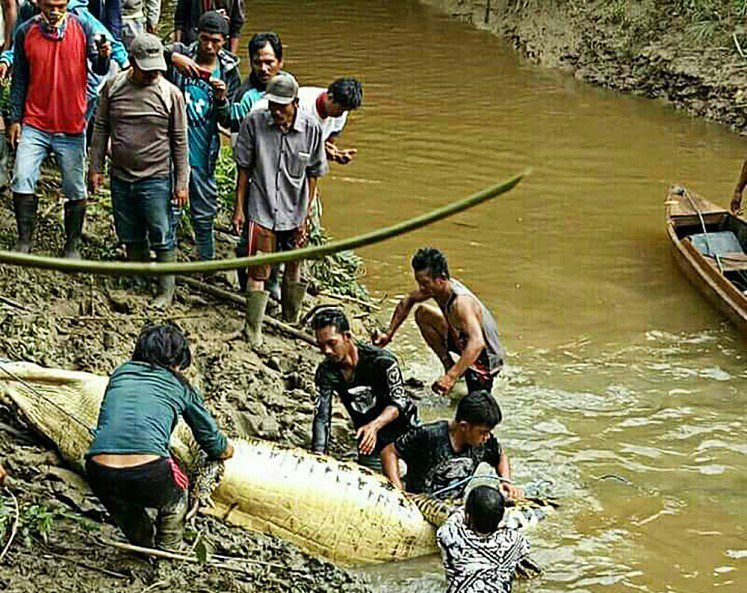 2018_03_02_41608_1519988408._medium