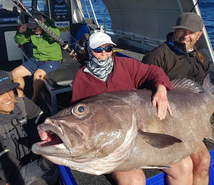 nintchdbpict000391390100