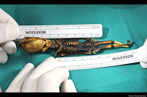 choang-sinh-vat-ngoai-hanh-tinh-ti-hon-o-chile-mang-gen-cua-loai-nguoi