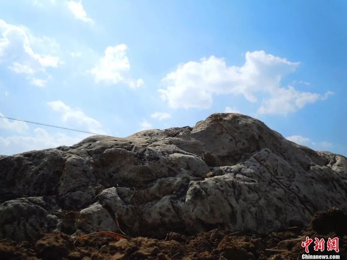 W020180321310934252667-1522039642_680x0 5