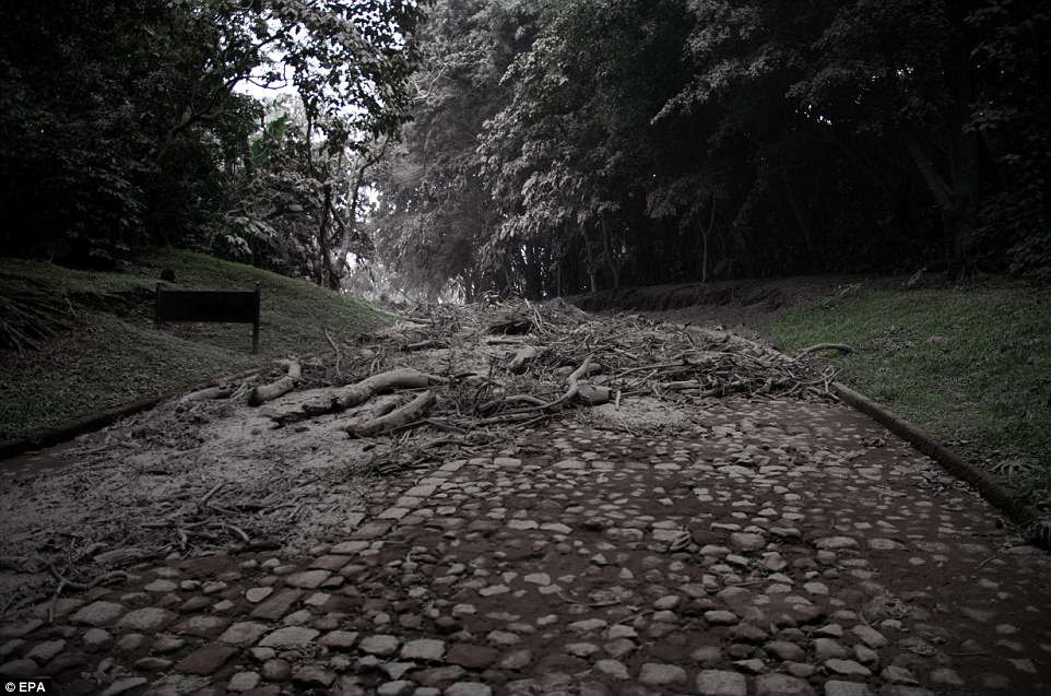 4CE421D300000578-5804245-A_view_of_the_damage_in_the_village_El_Porvenir_Guatemala_after_-a-16_1528133123301 9
