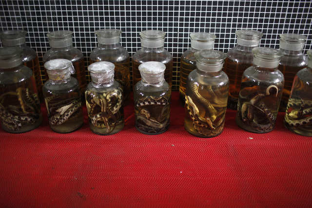 And-then-preserves-them-with-alcohol-at-the-snake-farm- 10