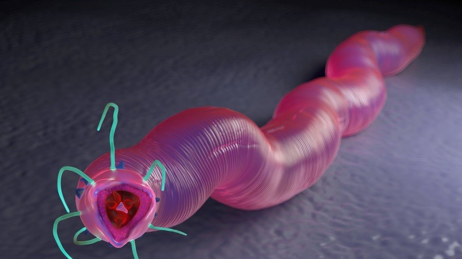 5b5a2228dda4c8a22e8b4583