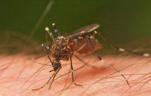 9cb15a2a0440fb4db1d51848e218dcff