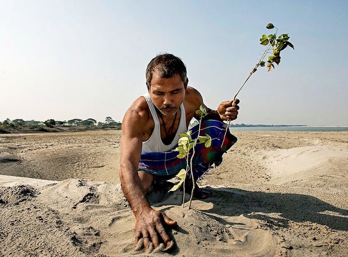 planting-trees-40-years-desolate-majuli-island-jadav-payeng-india-4-5b6a98fdc97b3__700 5