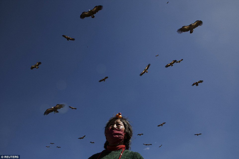 2E0E7A9C00000578-0-image-a-2_1446539183526