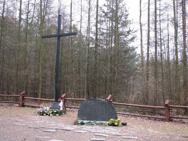 dd3c13dcae817df7001f4c9ad19206c9