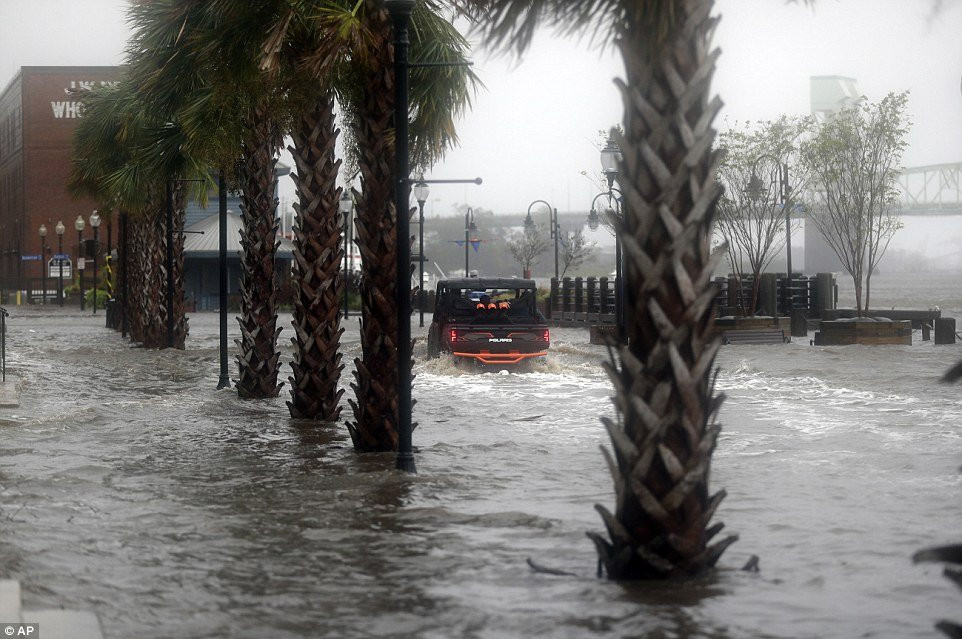 502E8F6E00000578-6169567-image-a-31_1536958213446 8