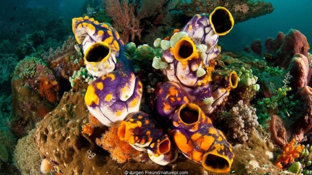 _93126667_whatsubject